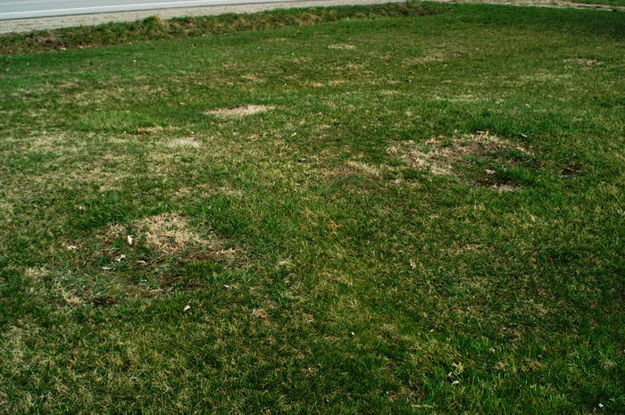 Starlite Drive-In Theatre - April 2003 Ramps